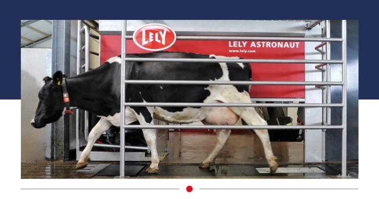 Labeling en stickers: de sleutel tot effectieve identificatie